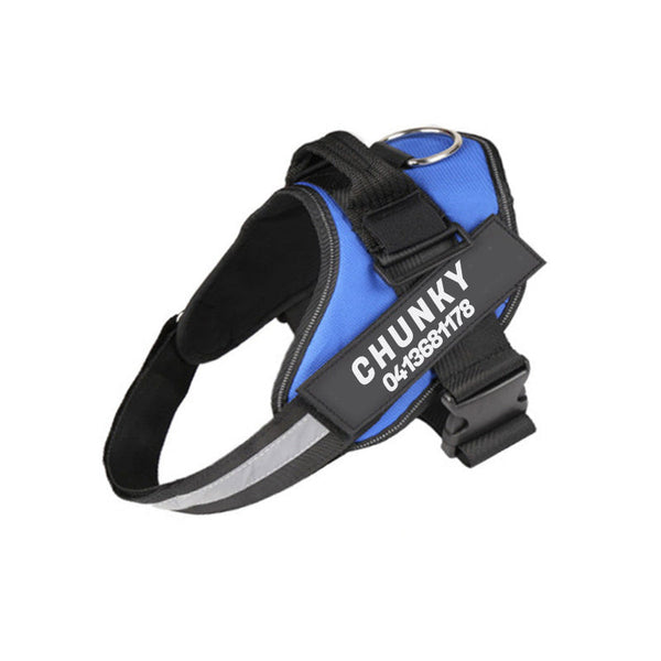 Chunky Personalized Anti-Pull Dog Harness & Leash – Ensure Comfort and Control - Image 13