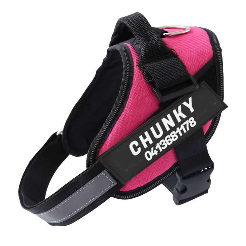 Chunky Personalized Anti-Pull Dog Harness & Leash – Ensure Comfort and Control - Image 18