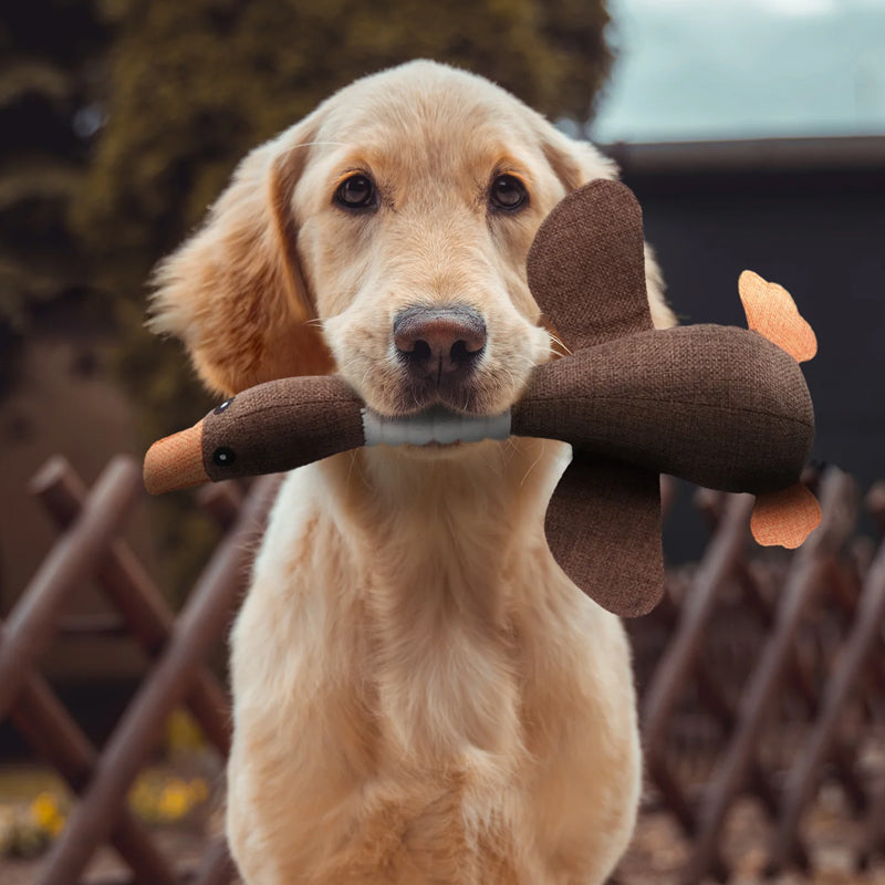 Charming Plush Duck Toy – Perfect Playtime Companion for Your Dog - Image 1