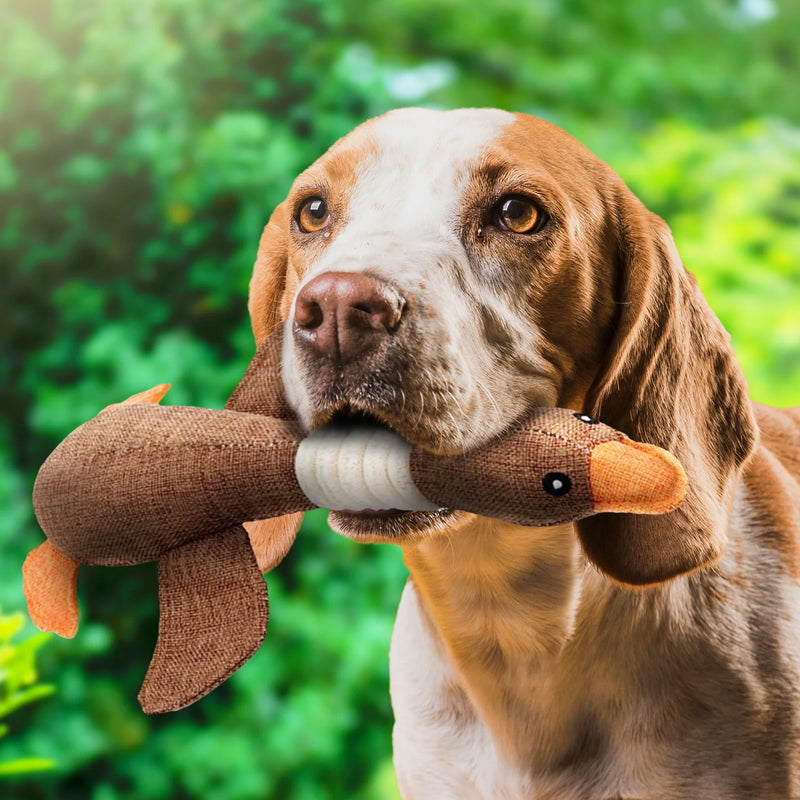 Charming Plush Duck Toy – Perfect Playtime Companion for Your Dog - Image 2