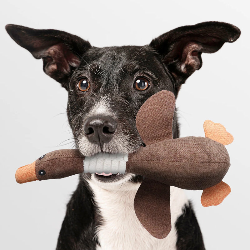 Charming Plush Duck Toy – Perfect Playtime Companion for Your Dog - Image 4