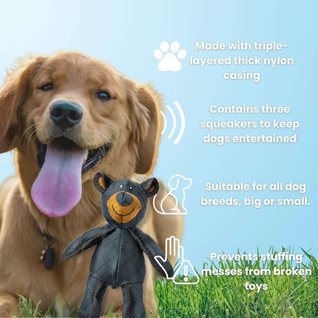 BearTough Indestructible Dog Chew Toy