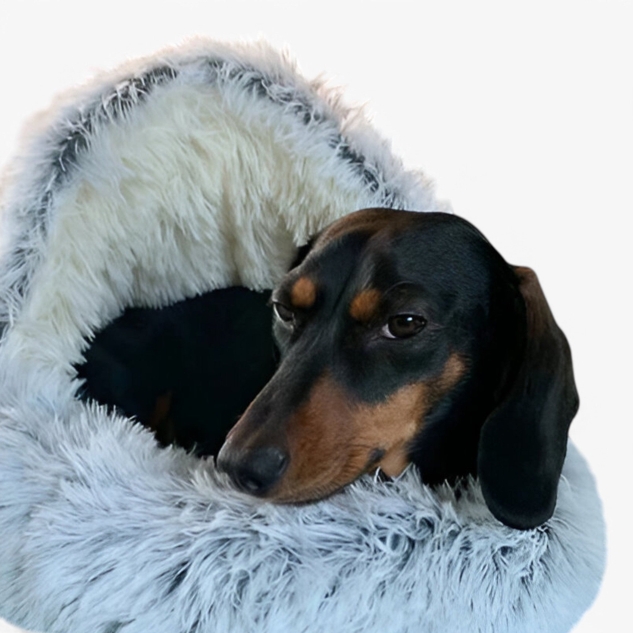 Cozy Cat Cave – Plush and Warm Pet Bed - Image 7