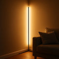 Floor Lamp | Dimmable LED | Corner & Living Area | Remote Control